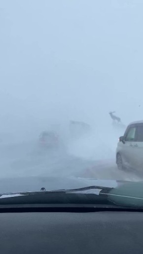 ����������� ������� ��������� �� ������ �������-����������