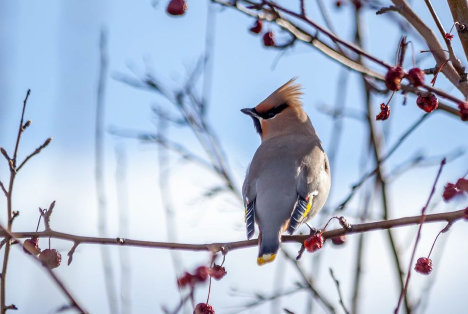 ���� � �� -9�C: ����� ������ ���� ����������� �� ��������