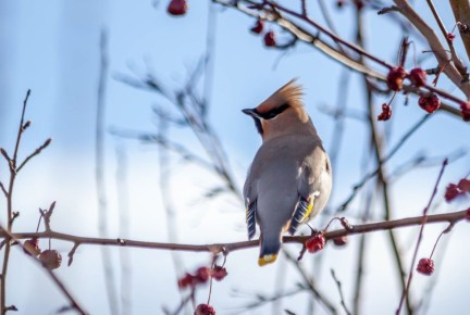 ���� � �� -9�C: ����� ������ ���� ����������� �� ��������