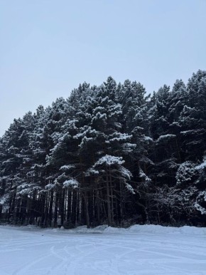 ������ ����!. ����: ��������� ����� #���������������