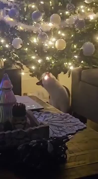 �������� ������ �������. � ���� ���� �����? ����� ���� � ����, ��� �� ����� ����� ���� ���� � ��� ������