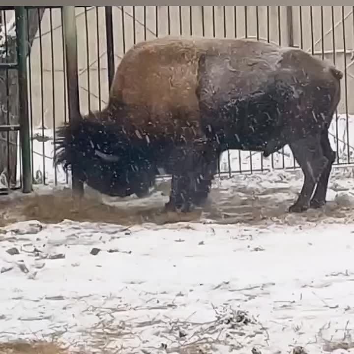 ������ ���������, ��� ����� ���� �������� �����!