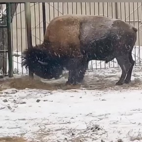 ������ ���������, ��� ����� ���� �������� �����!