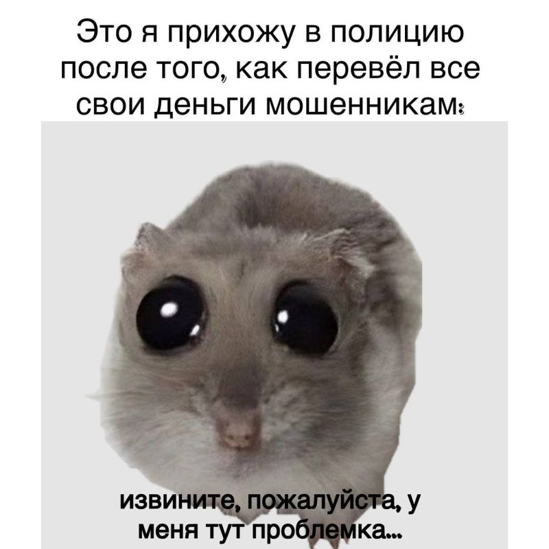 Выходные уже на носу, а это значит, что наступает самое время расслабиться и от души посмеяться после насыщенной рабочей недели