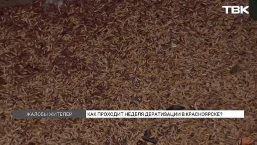 ������������ �������� �� � ����������� �������: ��� ���������� ����������� �������� � �����������