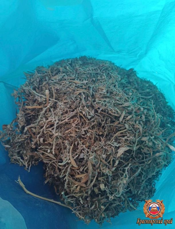 В Шушенском округе сотрудники Госавтоинспекции задержали пешехода с пакетом конопли