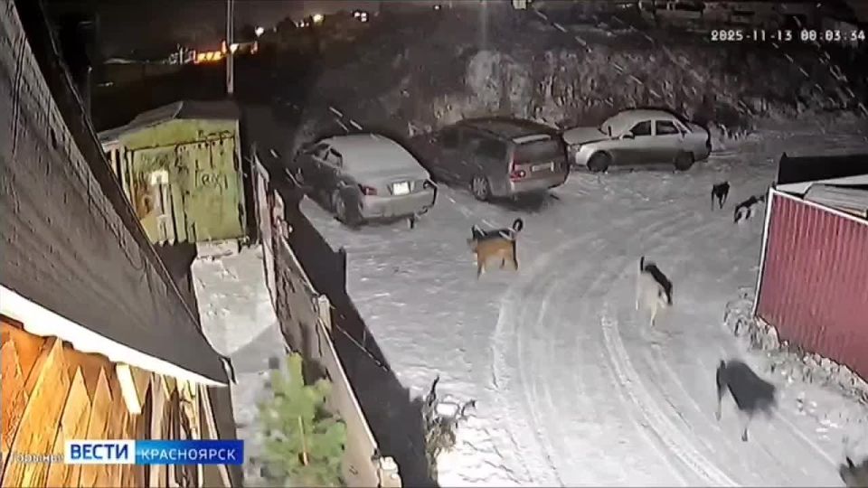 ��������� ��������� ������ ����� ��������� ����� ��������� ���������, �������� �� ��������� �������� ����