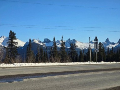 ������ ����������� �� 36�� � ���������� ��������� � �����������