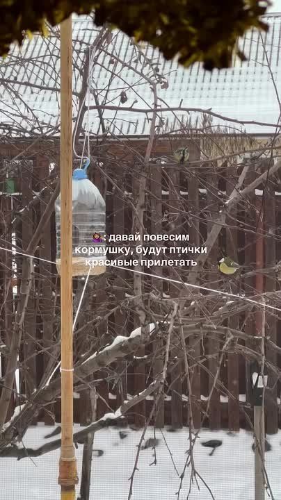 �����-�� ������������ � ��� �������