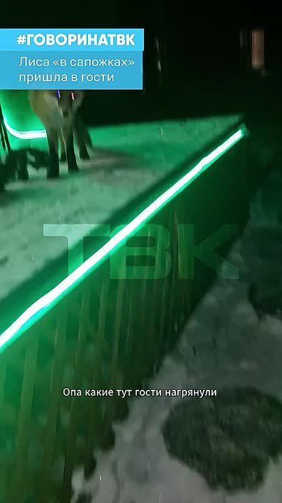 ���� ��������� ����������� �� ���� ������