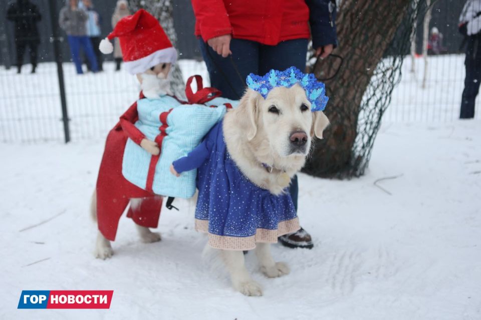 � ��� � ����� ����� � ��������� ������!