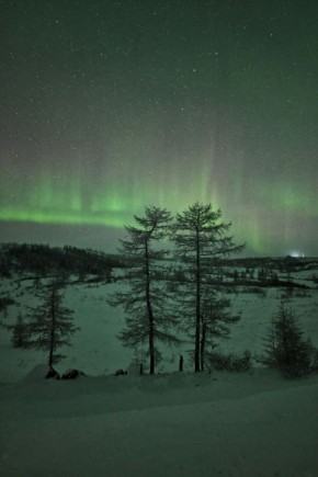 ���� �������� �����. �������������� �������� ������ ����� � ������ ������� � ���� � 15 �� 16 �������