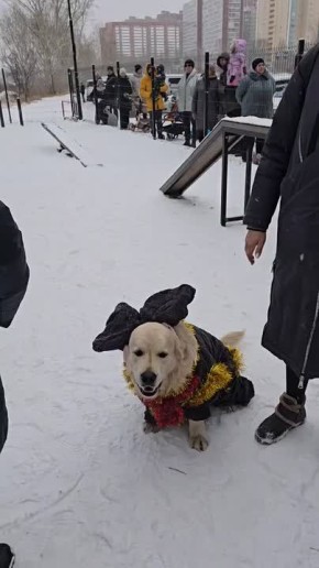 ����� ������ � �����-����� ����������� �������� ��-�����