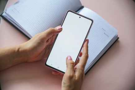 � 2025 ���� ������������� ��������� �������� 8 698 ������� ������������� ����