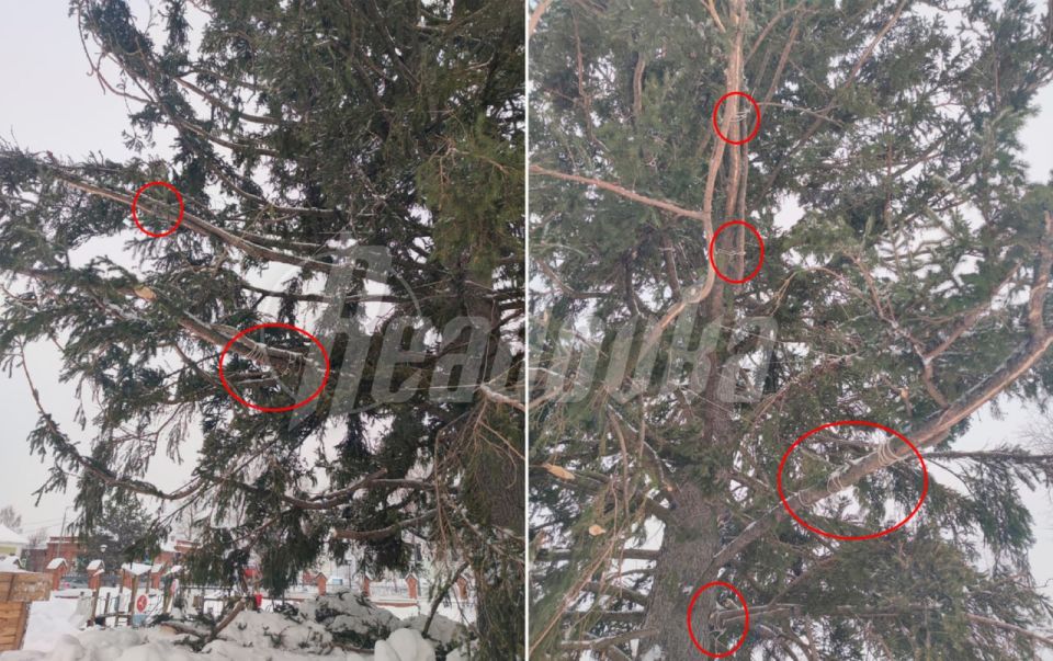 ����-������������� ������� ������������� ��������� � � ������ � ������� ������� ��������� ����� �� ������ ������������