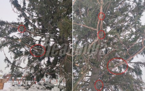 ����-������������� ������� ������������� ��������� � � ������ � ������� ������� ��������� ����� �� ������ ������������