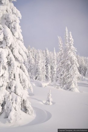 ������ ��������. � ����� �������� ������ ���� ����: ������ ������� ���