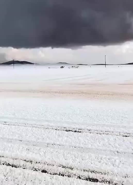 � ������� ����� ����. � ������� � ����� � �������� ���������� ������ ����� ����