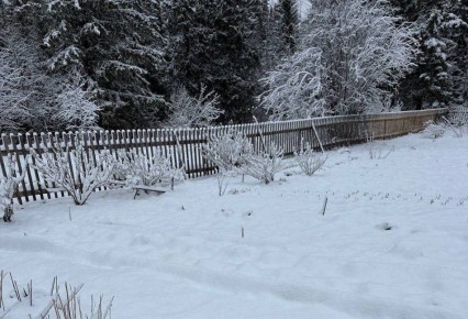 ������ � ����������� �������� � ���� ���� ������� ������