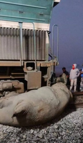 � ����� ������������ ����� ���������� �� ������ ������ � ����� �����