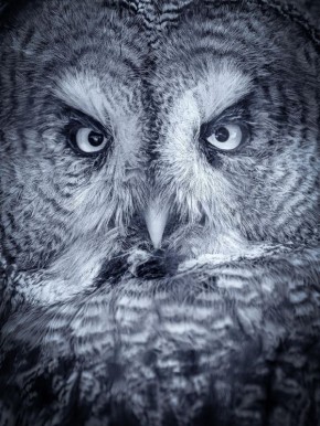 ������� ������ ������. ����: ����� ������������