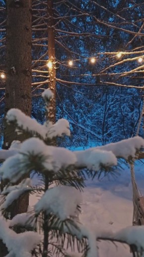 ������ �� 23 �������. ���