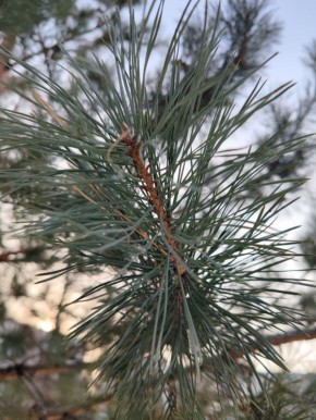 ������ ����!. #���������������