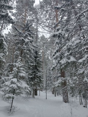 ������ � �����. ��� ��� ���� �� ������?