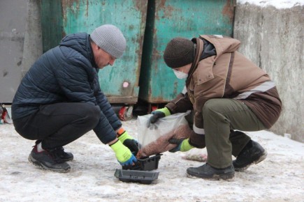 ����� 4000 �������� � ����������� ���������� �� ����