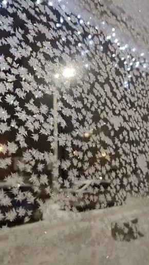 ������� ��������� ����, ����������!