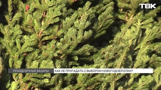 ������� ������ � �����������: ������� ����� ����?