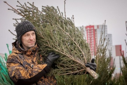 � ���������� ������ ���� �� ������ ������ ����� ������������ ������: ����� ��������� ����� �������� � ���� ������ � �������� ����� ��� ���������� �������������?