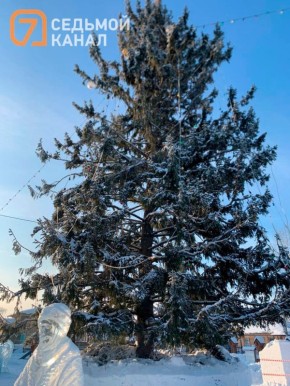 �����-�����: �������� �������� �� ������� ��� �� ��������� ���� � ��������