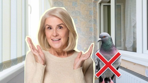 ������ ������� ��� ������ ��������: ���������� �� �������� ������� ������� ��������