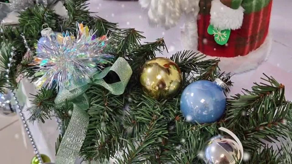 В Красноярске полицейские в костюмах Деда Мороза и Снегурочки поздравили учащихся классов правоохранительной направленности с наступающим Новым Годом