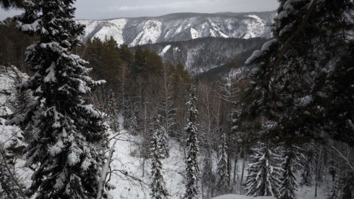 ���������-��� � ������� ������� �� ������������ �������