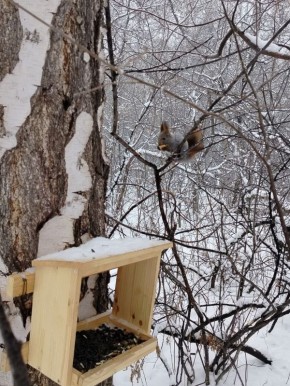 ������� ���������, ����� �������� �� ��������