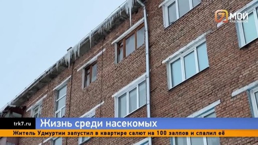 Жители Назарова пытаются призвать к совести мать полуторагодовалого ребёнка, которая устроила в квартире помойку