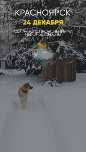 ������ �� 24 �������. ���