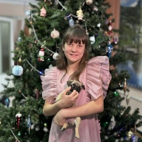 �������� ����� �������� ���������� ������� ��������� �� ������������� ���� � ������� �� �����