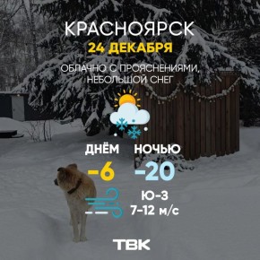 ������ �� 24 �������. ���