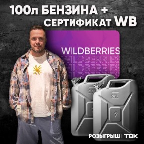 ����� 100 ������ ������� � ���������� WB