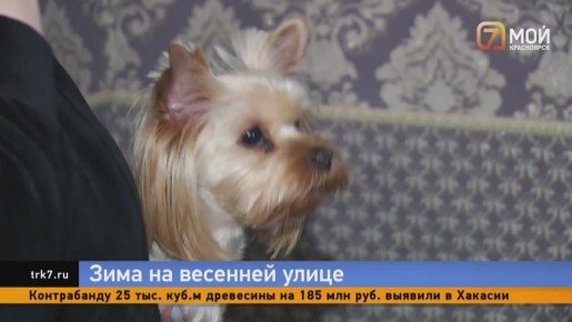 ������ ���������� ����� ���������������� ������ ����� ����� ���� ��� ��������� � ������� ����