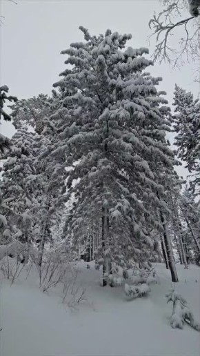 ������ - 4. ���