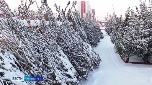 ���������� ������� ������ � ���� � ����� ����