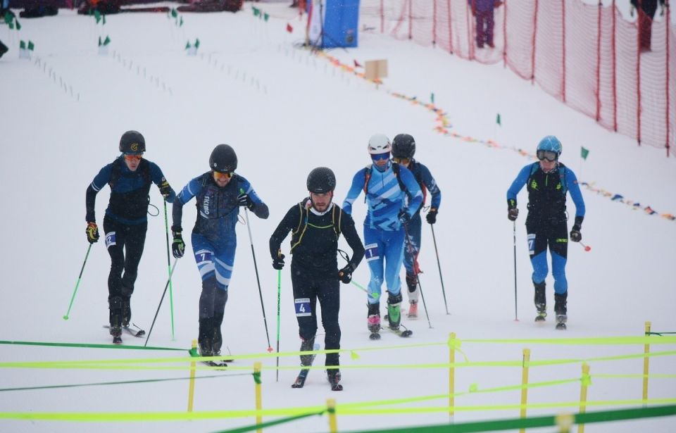 ����� ������ � ��������� ������ ����� ����� ������ �� ���-����������