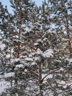 ������ ����!. #���������������