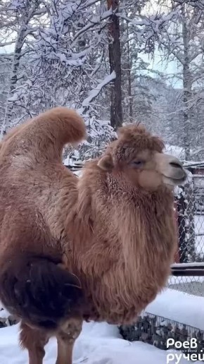 � ������������ ����� ����� ����� ���������� ������� ������ �������� �������� ������