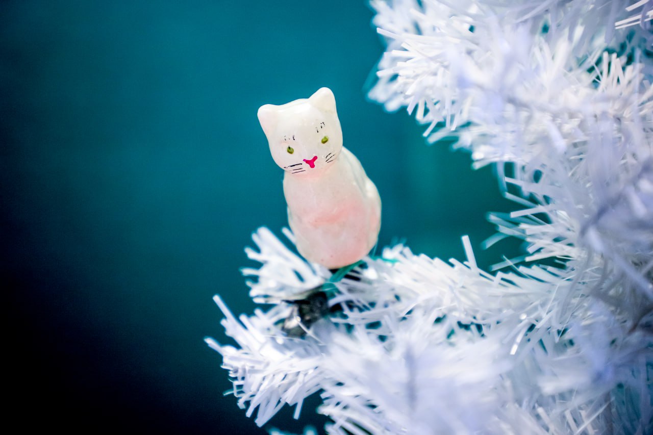 Какой же Новый год без всякой разной живности? В сказках, фильмах, представлениях то белочка подарок принесёт, то зайчик… Мишка ёлку тащит, тройка лошадей везёт сани Деда Мороза Какой же Новый год без всякой разной живности? В сказках, фильмах, представлениях то белочка подарок принесёт, то зайчик… Мишка ёлку тащит, тройка лошадей везёт сани Деда Мороза