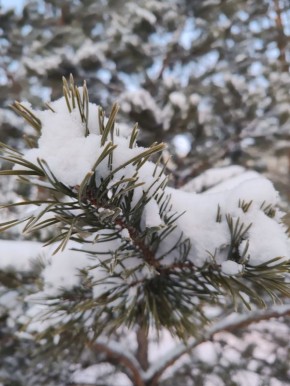 ������ ����!. #���������������